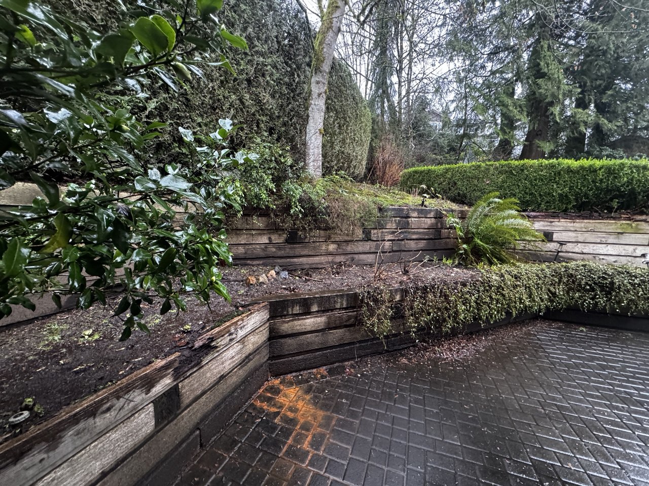 photo_2026-02-25_23-33-47